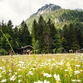 Bild: Waldbahnwanderung