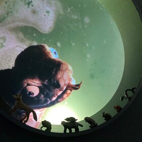 Bild: Als die Tiere den Wald verließen (8+)