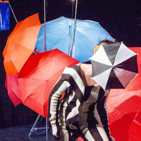 Zebraling und Knirpsmaschine