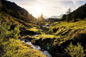 Bild: Geführte Almwanderung
