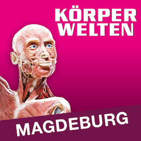 KÖRPERWELTEN | Magdeburg | Zeitfensterticket