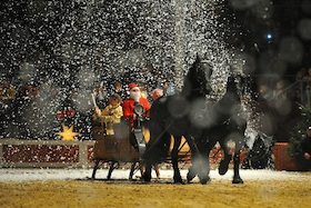 Neustädter Weihnachtsgala 2025