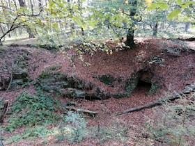 Wanderung: Sagenhafte Wanderung durch die Emmelkämper Mark