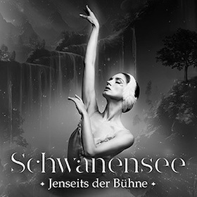 Bild: Schwanensee – Jenseits der Bühne mit live Streichquartett