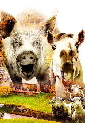 Bild: farm der tiere – das musical - punk-rock-musical von manuel de rien und oliver graf