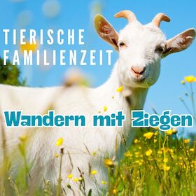 Ziegenwanderung - tierisch gute Familienzeit