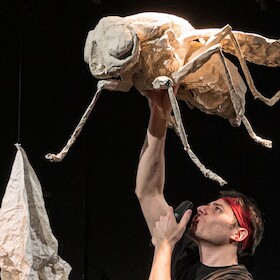 ¡ver-rückt!, Schaubude Berlin (DE)