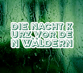 Bild: Die Nacht kurz vor den Wäldern