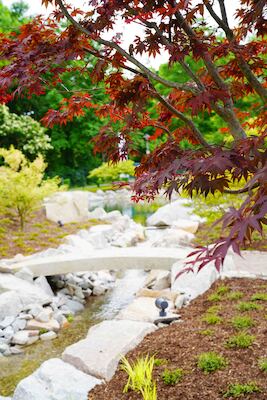 Bild: Führung durch den Japanischen Garten in Bad Krozingen