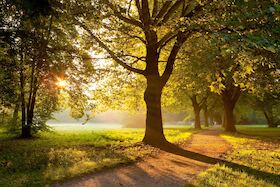 Bild: Kurparkführung Bad Krozingen mit Gärtnerin Alexia Putzger