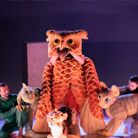 The Cat Who Wanted To Change Her Tale