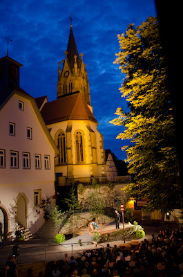 Eberdinger Sommertheater e.V.