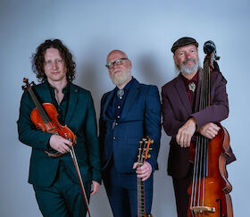 Bild: Konzert Albi & The Wolves (Neuseeland)