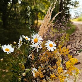 Bild: Räucherkräuterwanderung - Kräuter zum Räuchern entdecken und sammeln
