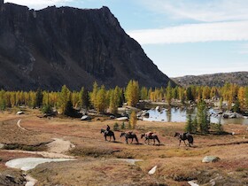 Bild: Long Way Home - Zu Pferd durch Amerika - Multivisionsshow