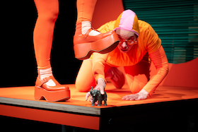 Bild: Wohin mit dem Elefanten? - Ein Spiel ohne Worte auf kleinstem Raum