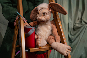 Bild: Hasen pfeifen nicht