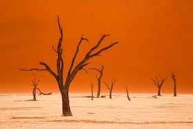 Bild: Namibia - Die Schönheit Afrikas - Eine Live-Reportage von Andreas Huber