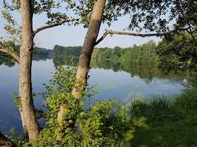 Bild: Lebenselixier Wasser - der Pröbstingsee, eine lebende Ausstellung - Anlässlich Tag der Gärten und Parks