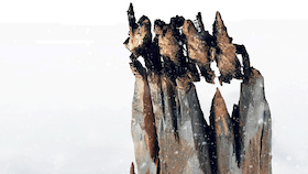 Bild: Tous sur la banquise