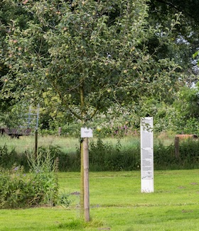 Bild: Stadtführung: Streuobstwiese