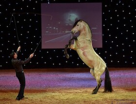 Bild: Christmas on Horse " Der magische Brunnen" - Die schönste Pferdeshow in Schwaben.