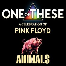 Bild: One Of These - – A celebration of Pink Floyd / Animals