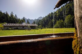 Bild: Achtsam unterwegs in der Natur