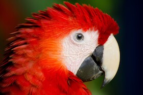 Bild: WunderWelten im Augustinum: Kolumbien - Live-Reportage von und mit Immanuel Schulz