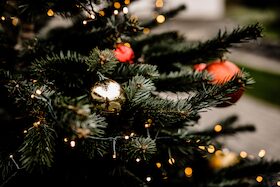 Bild: Heiligabend-Weihnachtsessen - Feiern Sie Heiligabend auf Gut Landscheid