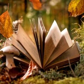 Bild: Kindertheater - Schneewittchen und die 7 Zwerge