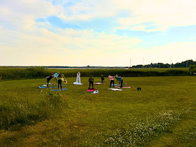 Bild: Yoga für Anfänger