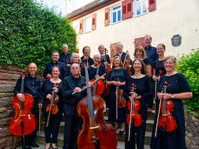 Bild: Kammerorchester musica salutare - Leitung: Adelheid Abt