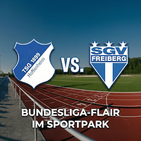 Bild: TSG Hoffenheim vs. SGV Freiberg