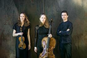 Bild: Amelio Trio - Johanna Schubert (Violine), Merle Geißler (Violoncello), Philipp Kirchner (Klavier) - 2. Konzert Musikverein Bamberg Saison 2026/27
