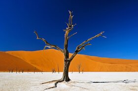Bild: Namibia & Botswana - Echo der Schöpfung