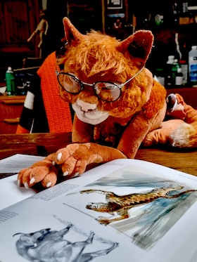 Bild: MATOU! Die Katze, die kein Mensch sein will - nach Michael Köhlmeier