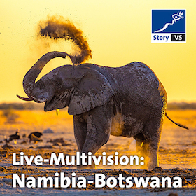 Bild: story VS: Namibia - Botswana - Echo der Schöpfung