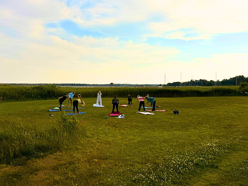 Yoga für Anfänger