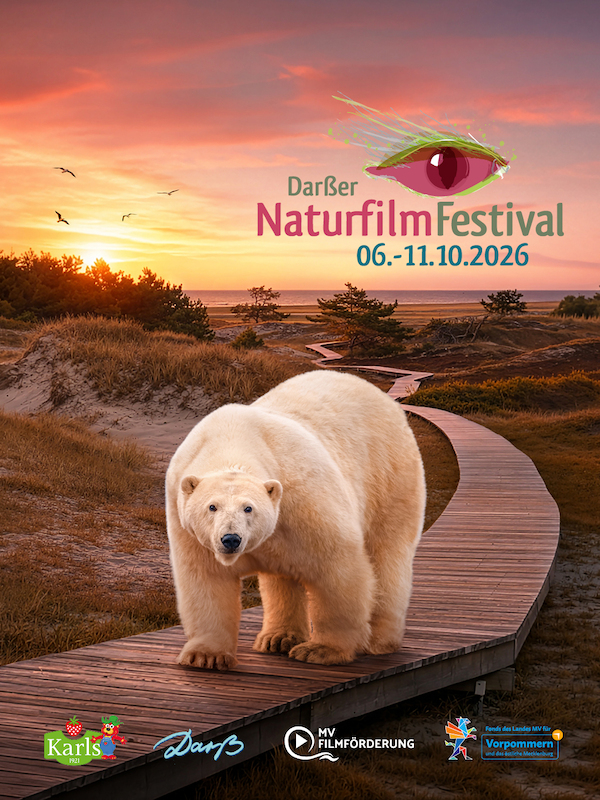 Festivalpass Kino
