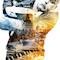 Event - Bild