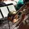 Event - Bild