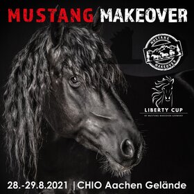 Image: Mustang Makeover