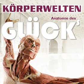 Image: KÖRPERWELTEN Heidelberg - Anatomie des Glücks
