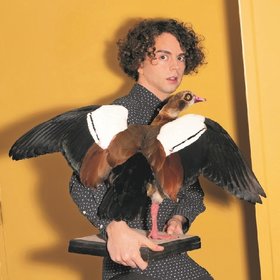 Image: Matthias Ningel