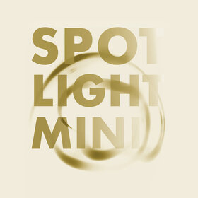Image: Spotlight-Mini
