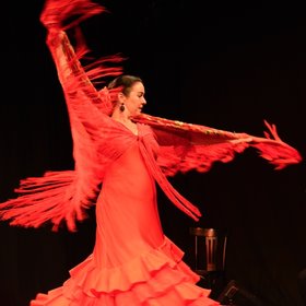 Image: Juerga Flamenca