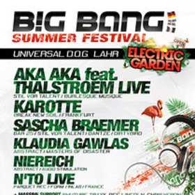 Image: Big Bang Summer Festival
