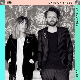 Image Event: Cats On Trees