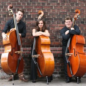 Image: Trio abassionato